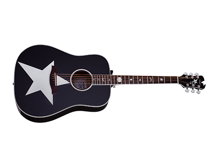 Robert Smith RS-1000 Stage Acoustic