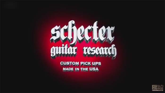 Schecter Custom Shop Pickups