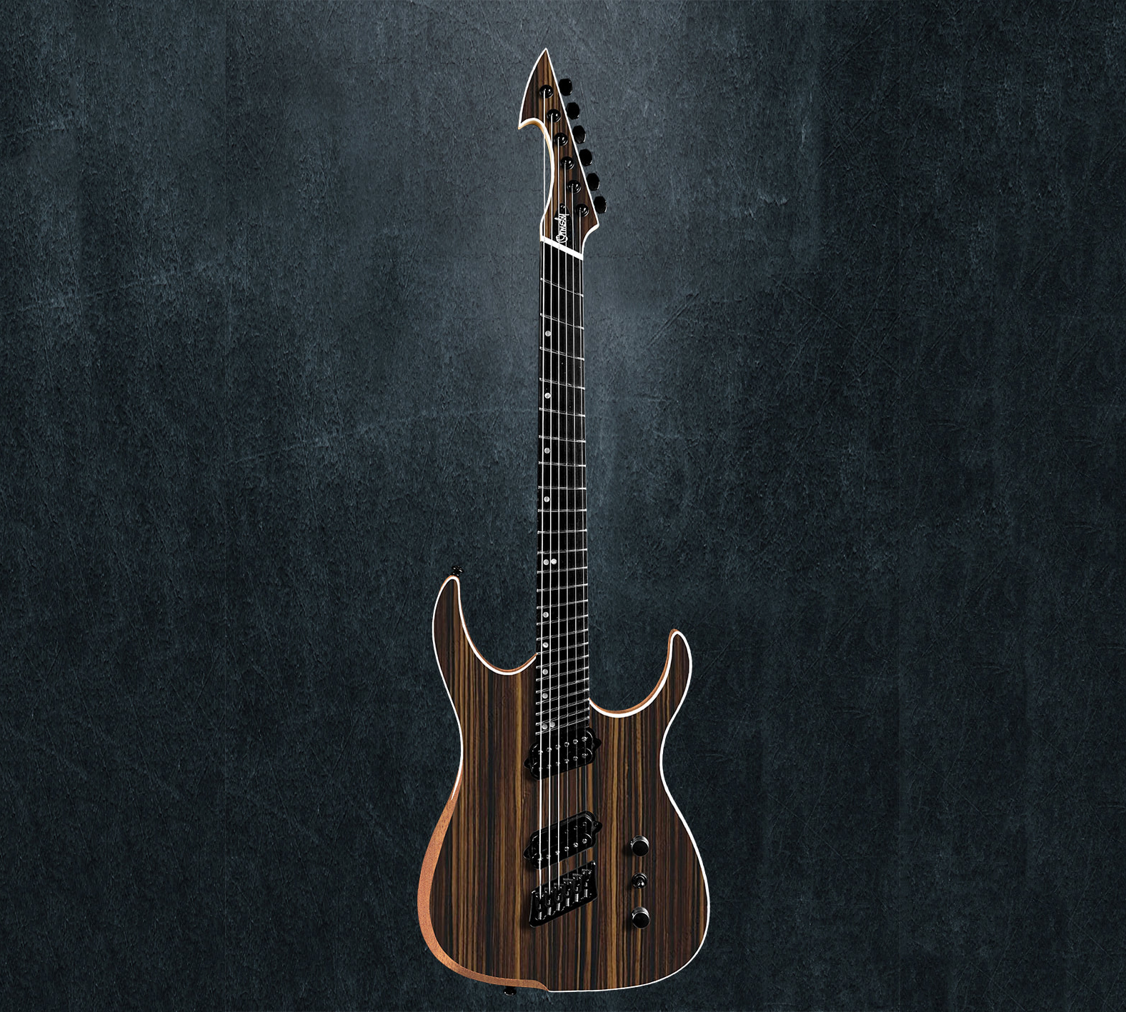 HypeGTR MULTISCALE Macassar Ebony Exotic